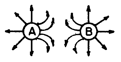 U6ExamImage2.gif (3204 bytes)