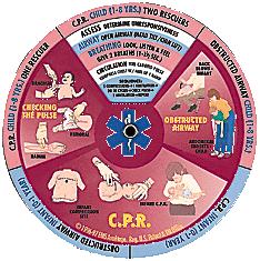 Pedi-Wheel® First Responder Side Two