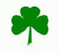 America's Irish
