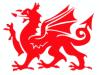 Y Ddraig Goch