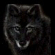 I am the Lonewolf