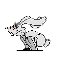 Follow The White Rabbit