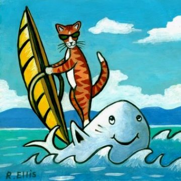 windsurfer