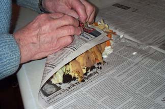 rolling up the newspaper