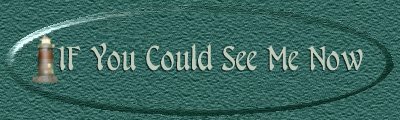 If You Could See Me Now Banner