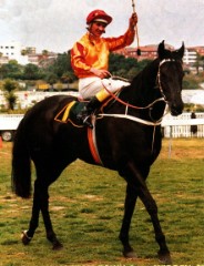 Kingston Town and Malcolm Johnston