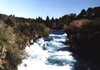 Rapids in New Zealand