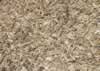 Wonder why it's called the Sawdust Festival?  Look down and you'll see ... sawdust! (30,434 bytes)