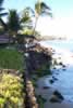 Sylvia takes a walk along the beach, in front of our condo. (38,126 bytes)