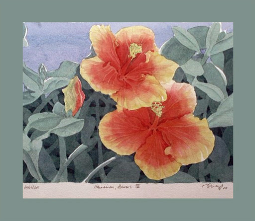hibiscus