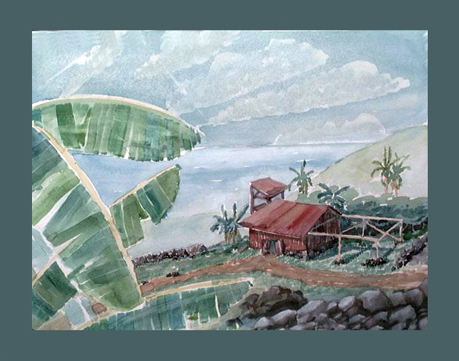 holualoacoffeefarm