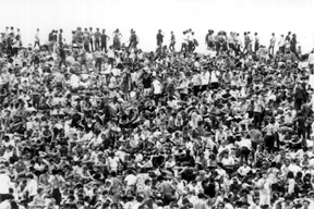 the_crowd