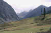 lalazar.jpg (28865 bytes)
