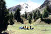 camps.jpg (53905 bytes)