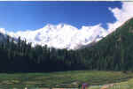 fm_FairyMeadows1.jpg (62980 bytes)