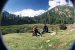 fm_screensaver_FairyMeadows.jpg (80927 bytes)