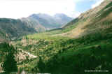 Herligkoffer_Rupal_Valley1.jpg (103427 bytes)