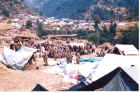 scan0043.jpg (143395 bytes)