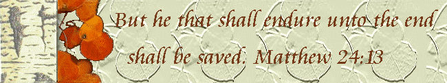 Matt 24:13