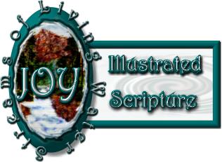 illustrated Scriptures