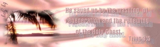 Titus 3:5