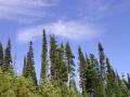 MtRainier3 * 2048 x 1536 * (1.46MB)