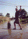 238-1.gif (70810 bytes)