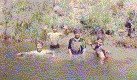 238-2.gif (36633 bytes)