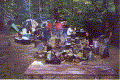 238-3.gif (70978 bytes)