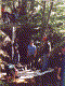 238-4.gif (89015 bytes)
