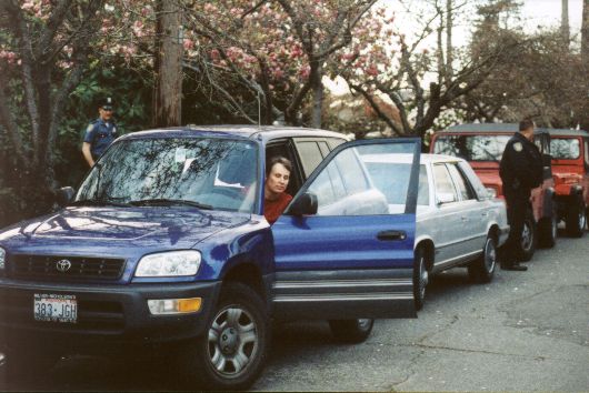 romalee_doc_service_closing_car_door_2001_04_07_530x354.jpg (48090 bytes)