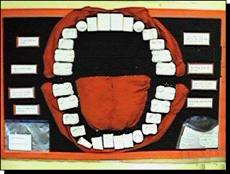 Teeth"