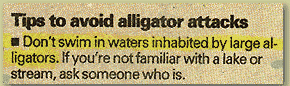 alligtor attacks
