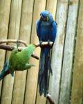 TN_BIRD-037.JPG