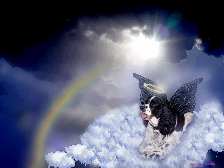 This is AngelSpencer!
