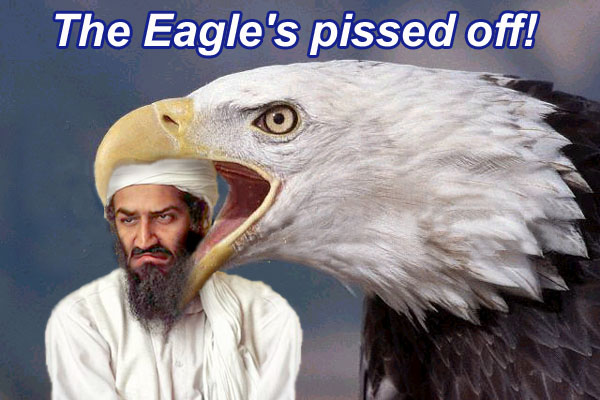The eagle is pissed