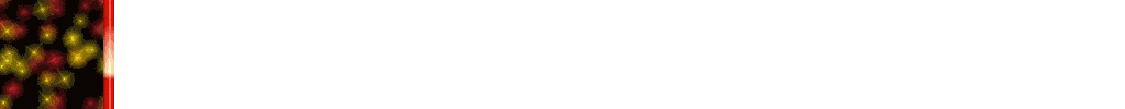 Thumbs/tn_anibor3.gif