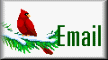 Email button