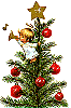 Little boy in Tree