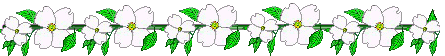 Dogwood Blossom Line