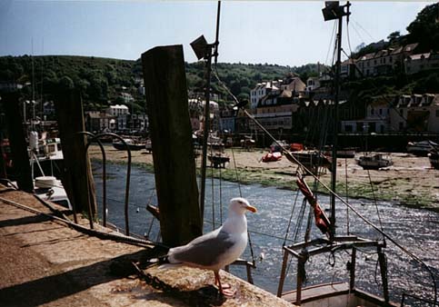 Seaside town, Looe.
