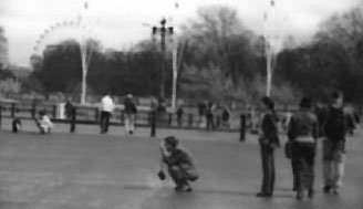 Tourists at Buckingham Palace.