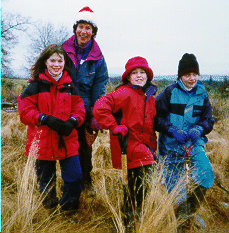 Planting Trees