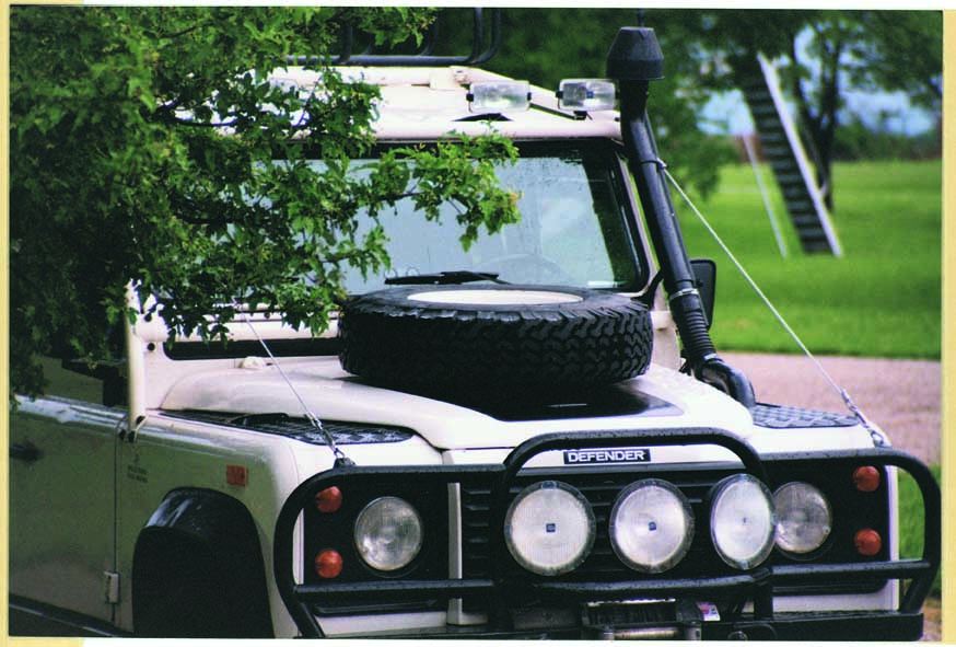 Defender 90 Forest