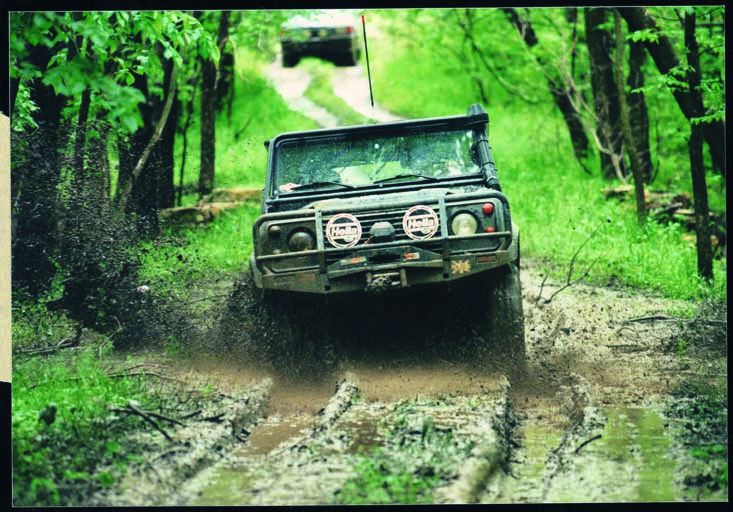Defender Forest