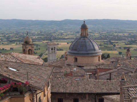 View of  Rooftops