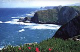 Breathtaking views of the seashore