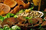 Culinary Experience - the best and freshest seafood