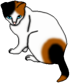 It's Finlay!