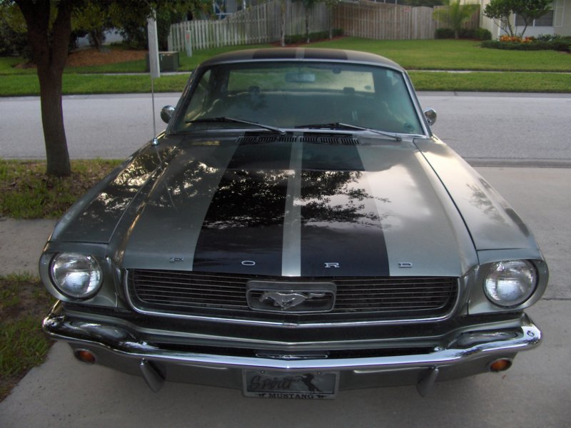 frontstripes.jpg